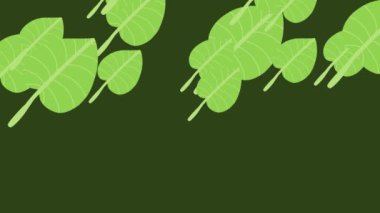 Animasyon tropikal yapraklar pürüzsüz bir döngü içinde.