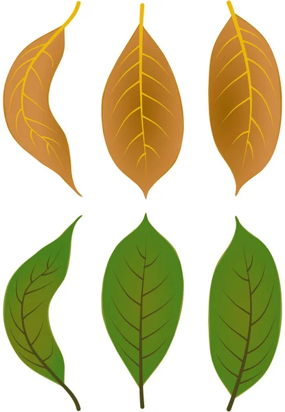 Grafiskt Illustrerat Höstlöv Lövverk Faller Grafiskt Illustrerade Färger Brun Grön — Stock vektor