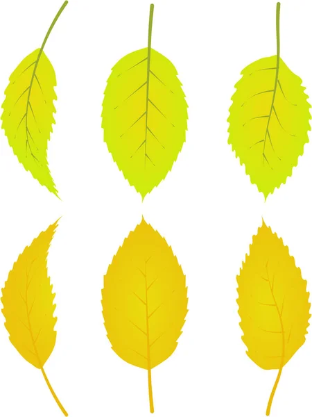 Grafik Illustriert Herbstblätter Laub Fallende Grafik Illustrierte Farben Goldgelb — Stockvektor