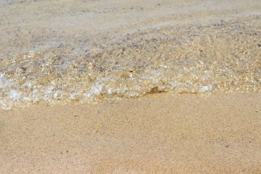 Gün ışığında sakin denizin yumuşak dalgalarına yaklaş..