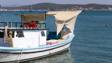 Sakin dalgalı deniz ve içinde hayat