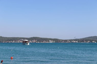 Sakin dalgalı deniz ve içinde hayat