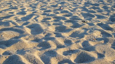 Deniz dalgaları gün ışığında sahile vuruyor.