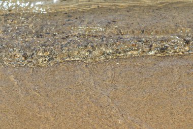 Deniz dalgaları güneşli havada sahile vuruyor.