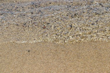 Deniz dalgaları güneşli havada sahile vuruyor.