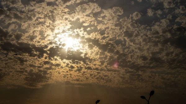 Filmový Záběr Během Západu Slunce Zamračeného Dne — Stock fotografie