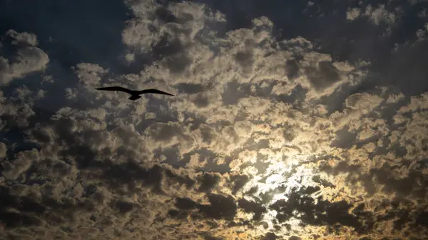 Bulutlu Bir Günde Gün Batımında Sinematik Bir Çekim — Stok fotoğraf