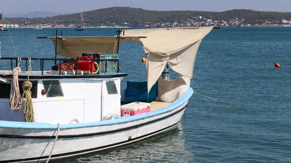 Sakin dalgalı deniz ve içinde hayat