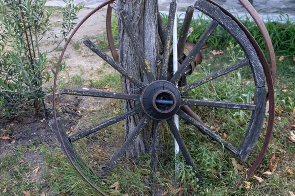 Verlassenes Altes Wagenrad Baum — Stockfoto