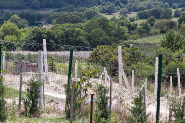 Küçük fidanlar küçük ağaçlara bağlanmış çimensiz araziye yeni ekilmiş gün ışığında yakın mesafede.