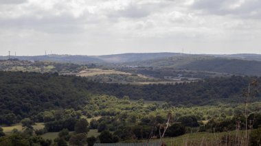 Arkaplanda bulutlu bir gökyüzünden çekilen yeşil yapraklı doğal gün ışığında canlı renklere sahip ağaçlar.