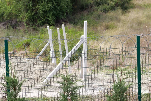 Küçük fidanlar küçük ağaçlara bağlanmış çimensiz araziye yeni ekilmiş gün ışığında yakın mesafede.