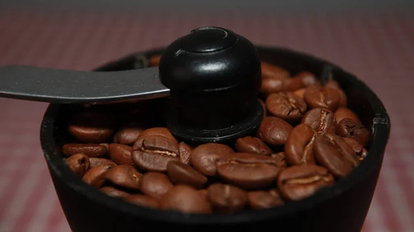 新鮮なローストコーヒー豆のマクロ撮影 コーヒー粉砕ツールの内側のブリムに満ちています — ストック写真