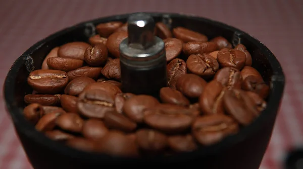 新鮮なローストコーヒー豆のマクロ撮影 コーヒー粉砕ツールの内側のブリムに満ちています — ストック写真