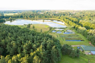 Ormanlı güzel yaz manzarası