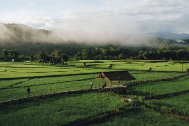 A6 ayarlı VSCO ile işlendi