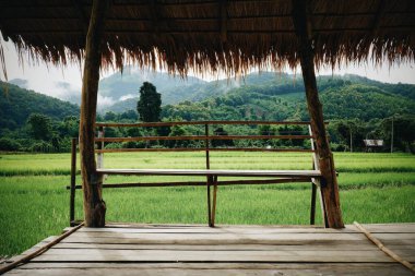 A6 ayarlı VSCO ile işlendi