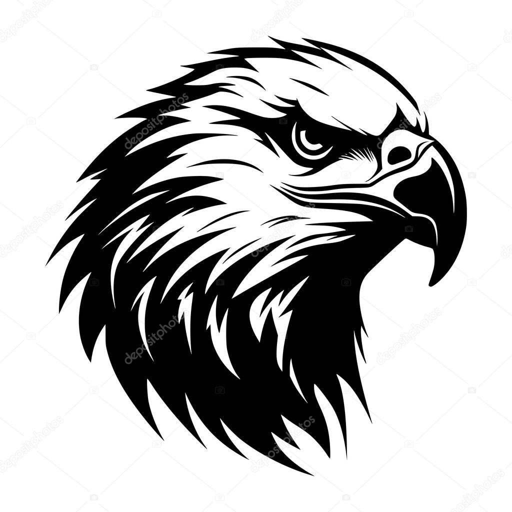 Elegant eagle head illustration good use for symbol