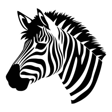 Zebra vahşi hayvan çizimi