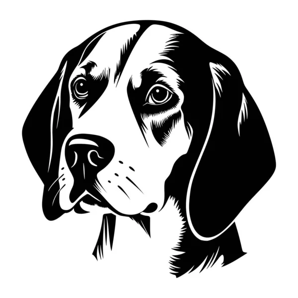 Beagle Head Dog Illustration — Stock Vector