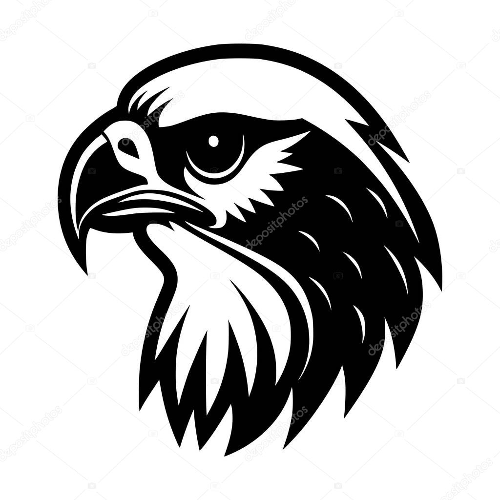 Falcon bird illustration for logo