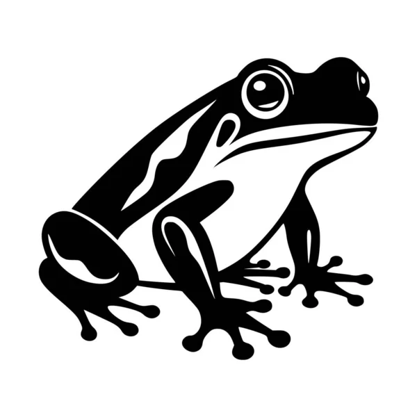 Żaba Płazów Zwierząt Ilustracja Symbolu Lub Maskotki — Wektor stockowy