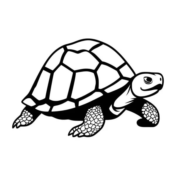 Turtle Animal Drawing Illustration Mascot Symbol — Stock Vector