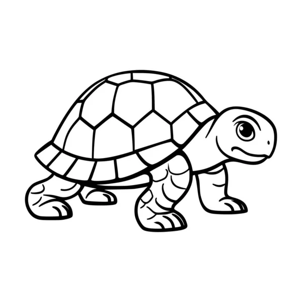 Turtle Walking Amphibian Animal Drawing Logo Coloring Pages — Stock Vector
