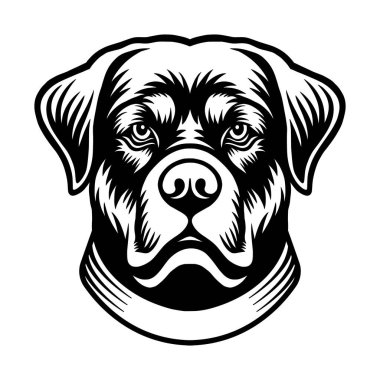 Rottweiler evcil köpek kafası siyah beyaz çizim
