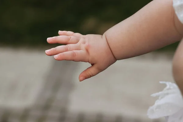 Bebek elini kapat. Açık havada beyaz elbiseli bir bebek eli. Seçici Odaklanma.