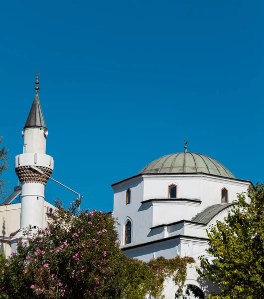 Tarihi cami. Şehirdeki ağaçların arkasındaki beyaz ve gri tarihi bir cami..