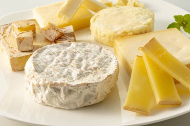 Assortment of fresh and delicious cheeses