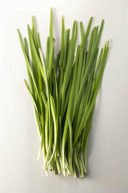 Taze, besleyici ve lezzetli soğanlar.