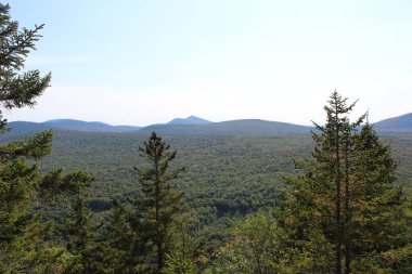 Çam ağacından yeşil bir dağ sırasına bakıyorum.