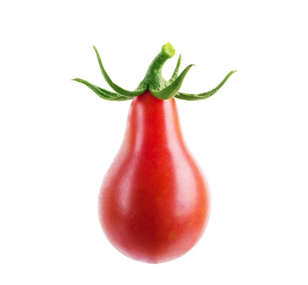 Coleta Tomates Isolada Branco — Fotografia de Stock