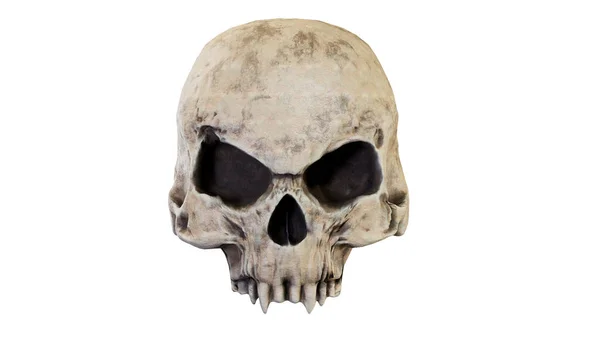 Cráneo Vampiro Aislado Render — Foto de Stock