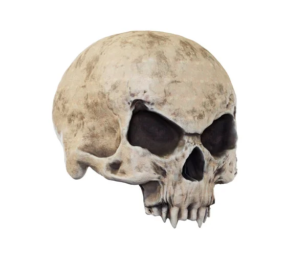 Cráneo Vampiro Aislado Render — Foto de Stock
