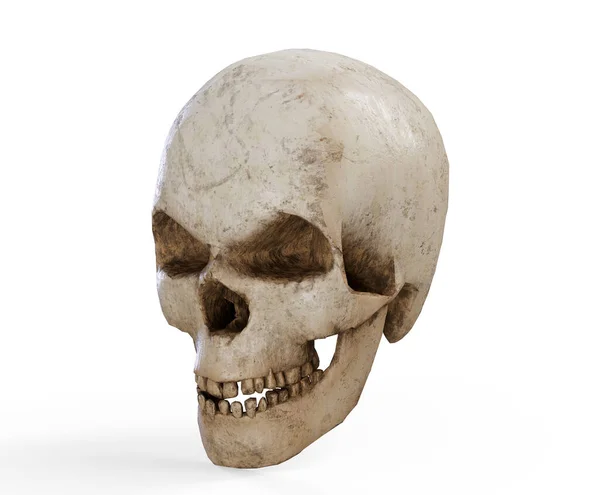Cráneo Pirata Renderizar Cerca — Foto de Stock