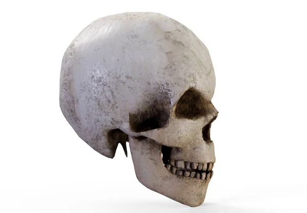 Cráneo Pirata Renderizar Cerca — Foto de Stock