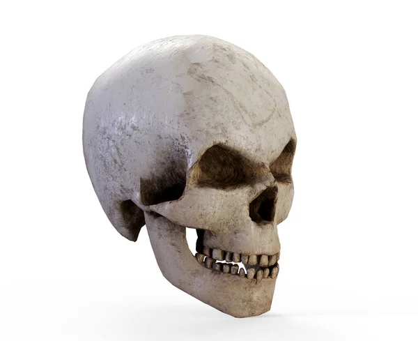 Cranio Pirata Rendering Vicino — Foto Stock