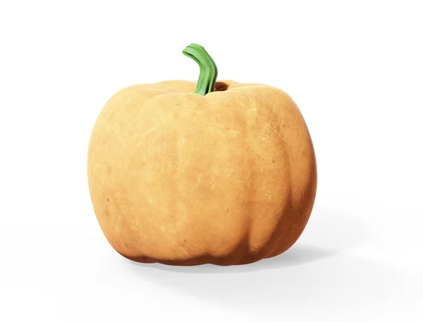 Pumpkin Rendering Isolated White Background — Stock Photo, Image