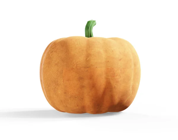 Pumpkin Rendering Isoliert Auf Weißem Hintergrund — Stockfoto