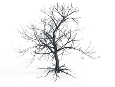 Beyaz arkaplanda yapraksız izole ağaç kırpma, 3 boyutlu illüstrasyon oluşturma