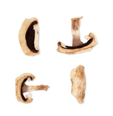 Beyaz arka planda taze mantarlar.