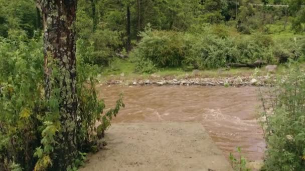 녹색으로 둘러싸인 계곡에서 흐르는 전망은 부탄의 지방의 — 비디오