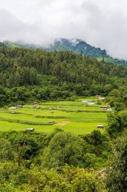 Bhutan 'da ağaçları ve dağları olan güzel bir vadi manzarası, Asya' da manzaralı panorama dağı yaz manzarası.