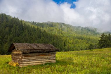 Bhutan 'da ağaçları ve dağları olan güzel bir vadi manzarası, Asya' da manzaralı panorama dağı yaz manzarası.