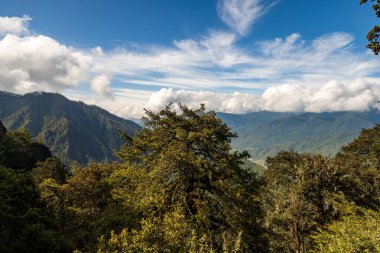 Bhutan 'da ağaçları ve dağları olan güzel bir vadi manzarası, Asya' da manzaralı panorama dağı yaz manzarası.