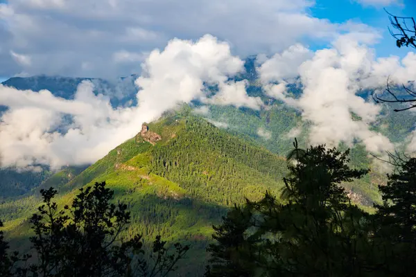 Bhutan 'da ağaçları ve dağları olan güzel bir vadi manzarası, Asya' da manzaralı panorama dağı yaz manzarası.