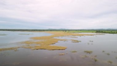 Chennai, Hindistan 'da bir yaz günü gölün üzerindeki çimlerin havadan görünüşü.